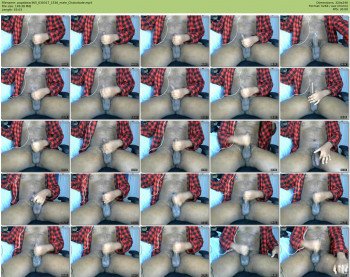 papabear365