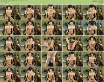stephonstallion