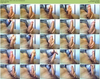 thevein11