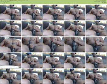 paradise699