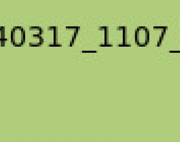 fichte123