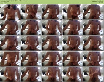 elephantd20