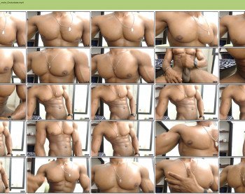 hansixpack