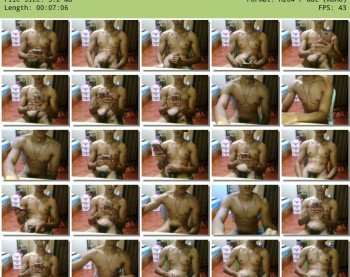 tylor959595