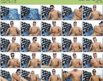 david_ox