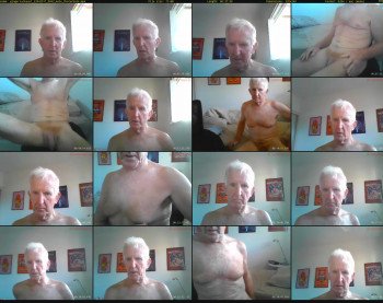 gingercockaust