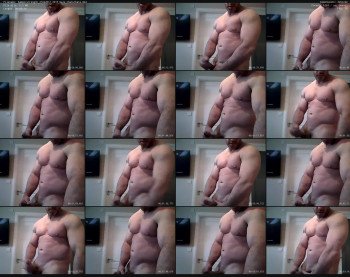 hammerstrength