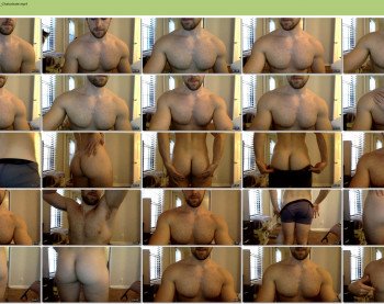 fitpitt