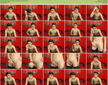lestercollage