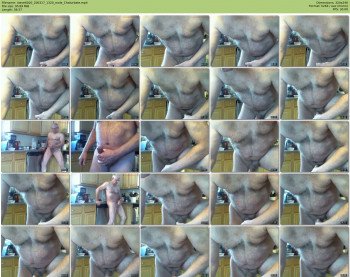 steve6020