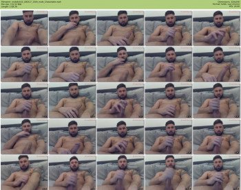 mobdick33