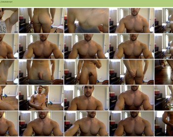 fitpitt