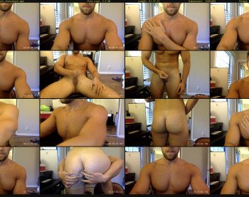 fitpitt