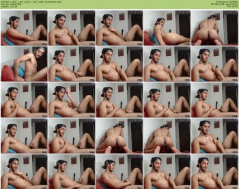 killer__cock