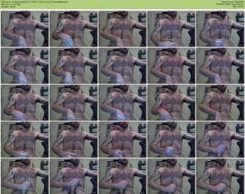 linktothepast233