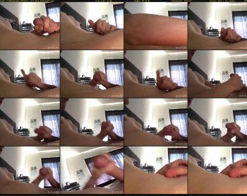 studbelgium94