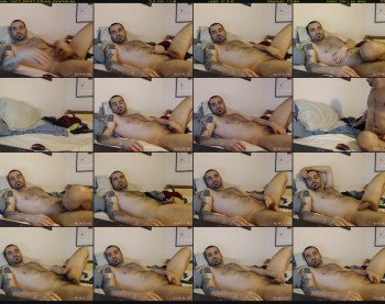 tim3131