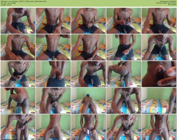 mrcock24cm