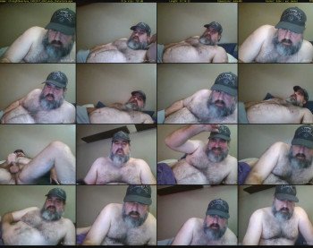 straightbear4you