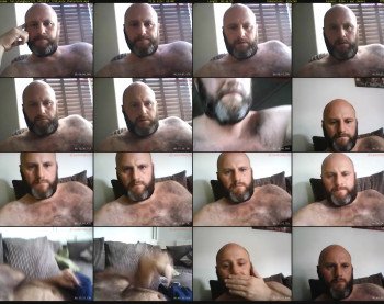 hairyhungbear372