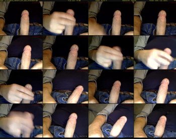 nyctallphoto