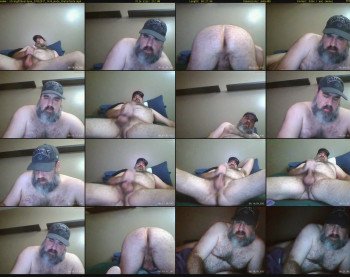 straightbear4you
