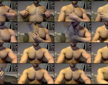 fitpitt