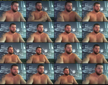 swissbear77