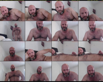 hairyhungbear372
