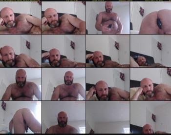 hairyhungbear372