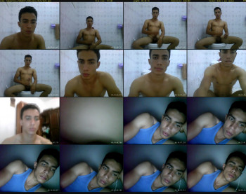 hamaarbixx