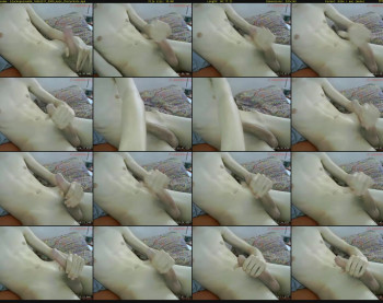 blackopossum96