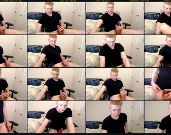gingercock242