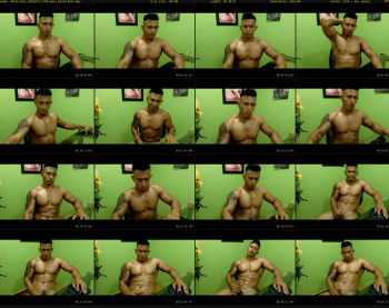 dante_hotx