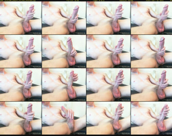 stretcha88