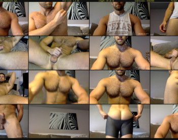 fitpitt