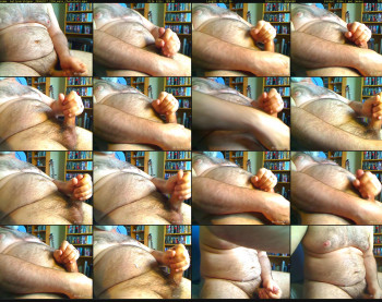 bellyworshipper
