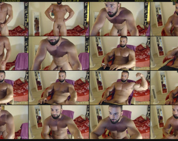 muscle0max