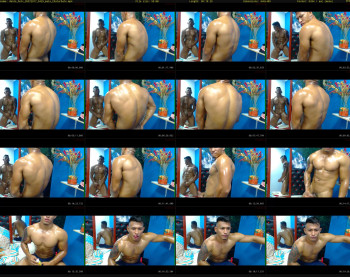 dante_hotx