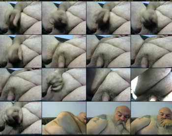 bigpapabear1313