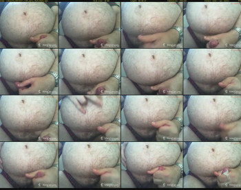 cubear40