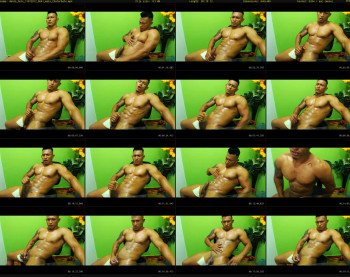 dante_hotx