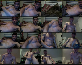 lupine_86