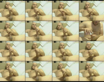 egyptian_cock