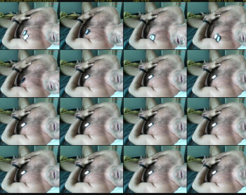 hairyhndsomebear