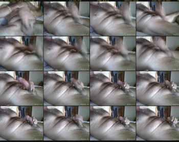 ferni2
