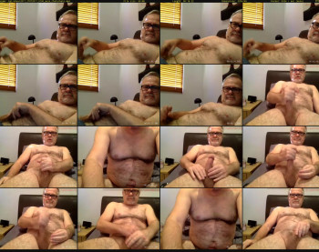 hairybear2017