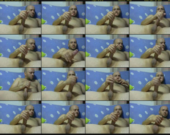 egyptian_cock