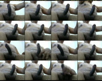 escorpion51