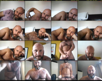 hairyhungbear372